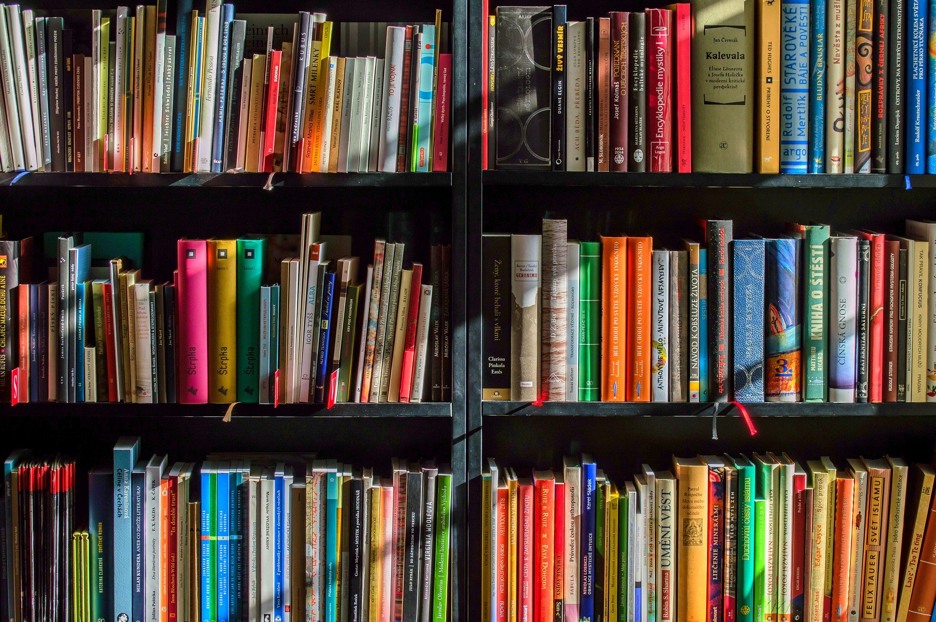 Всемирный день книги: авторы, издатели и книгораспространители призывают к международной поддержке