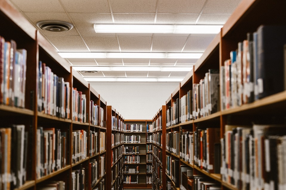 «Книгоиздание и книгораспространение в странах – участниках Евразийского экономического союза: единство подходов и конвергенция действий»