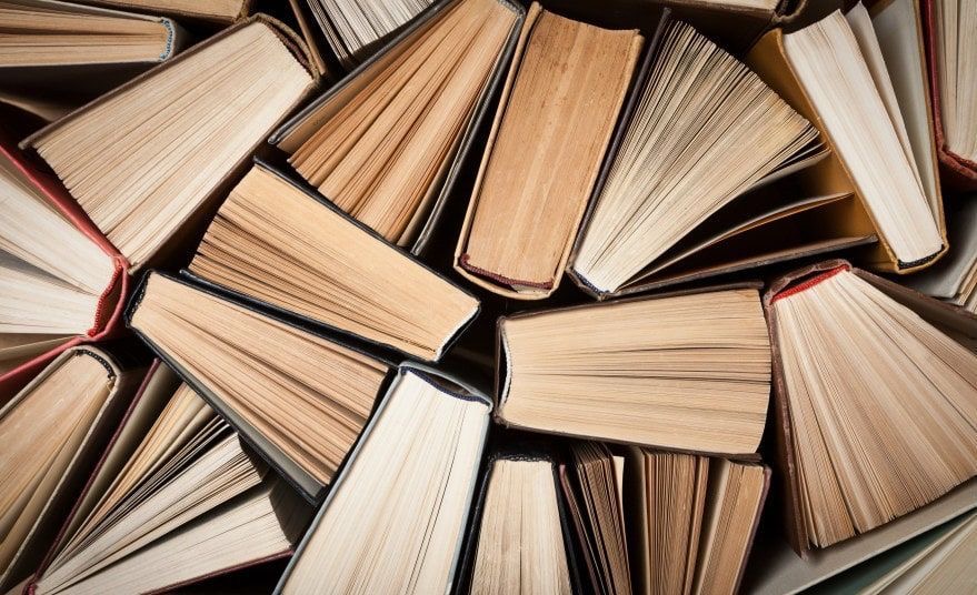 Госдума приняла в I чтении законопроект о бессрочной поддержке малого книжного бизнеса